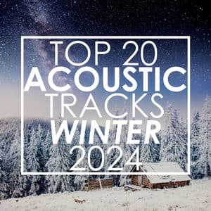 Top 20 Acoustic Tracks Winter 2024 (Instrumental)