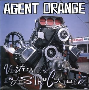 Virtually Indestructible