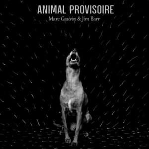 Animal provisoire