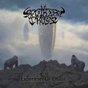 Experimental Chaos