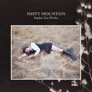Misty Mountain