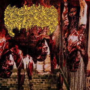Garments of Gore