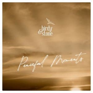 Peaceful Moments - Birdy & Stone