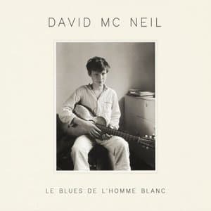Le blues de lhomme blanc