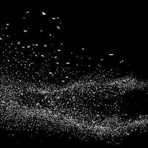 A Dark Murmuration of Strings
