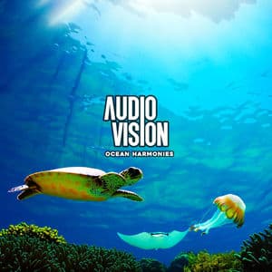 Ocean Harmonies