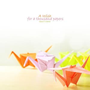 A Wish For A Thousand Papers