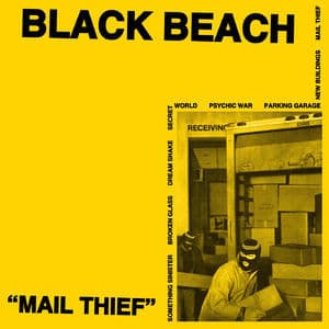 Mail Thief