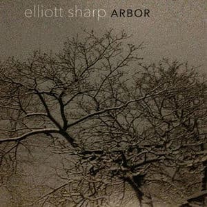 Arbor