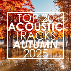 Top 20 Acoustic Tracks Autumn 2025 (Instrumental)