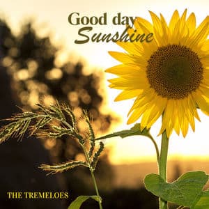 Good Day Sunshine