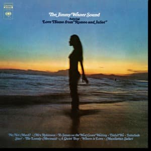 The Jimmy Wisner Sound