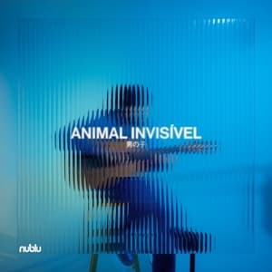 Animal Invisivel