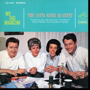 We Dig Mancini