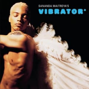 Sananda Maitreyas Vibrator
