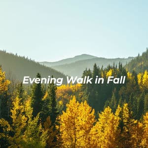 Evening Walk in Fall