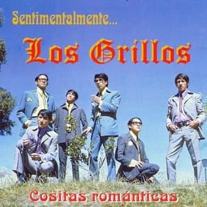 Cositas Romanticas