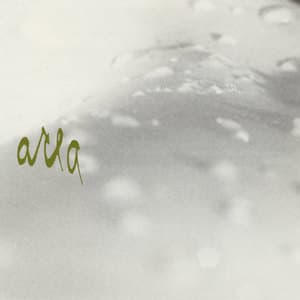 Fragments Of The Morning (2026 Reissue)