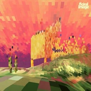 Meadowland Remixed