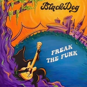Freak The Funk