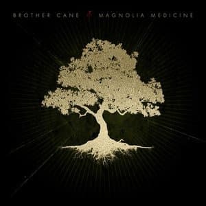 Magnolia Medicine