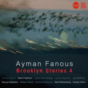 Brooklyn Stories 4