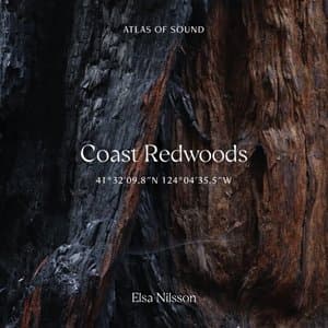 Atlas Of Sound - Coast Redwoods - 41deg3209.8N 124deg0435.5W