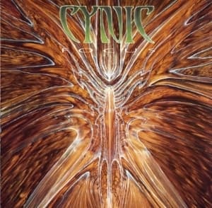 Focus (Japan Edition)