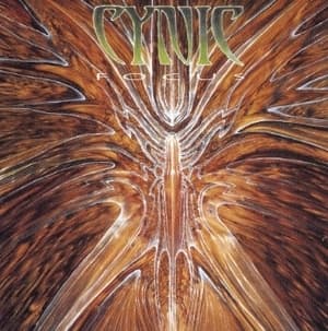 Focus (2002, Japan Edition)