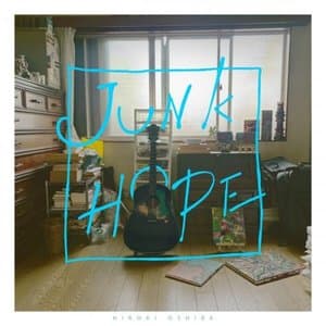 JUNK HOPE