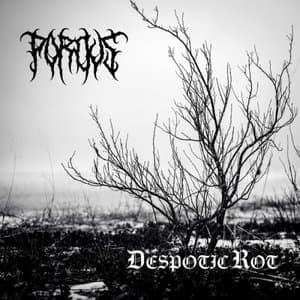 Despotic Rot