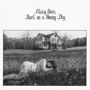 Dark on a Sunny Day