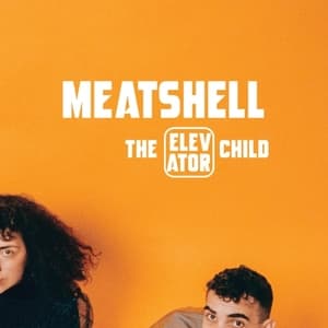 The Elevator Child
