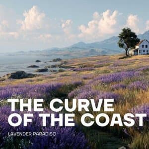 The Curve of the Coast