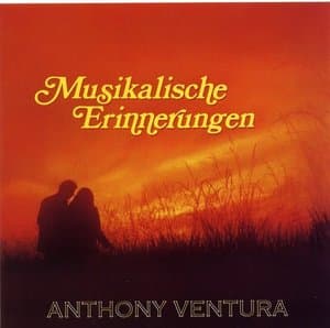 Musikalische Erinnerungen - Die Grossen Erfolge
