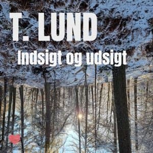 Indsigt og udsigt