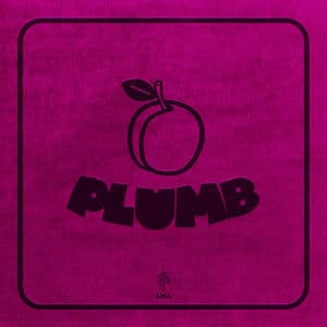 Plumb