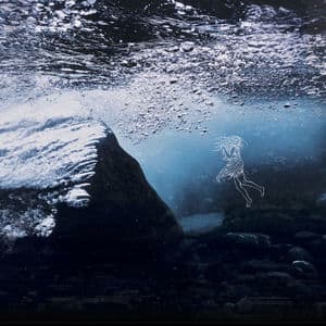 The Water In You