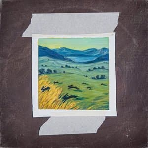 Barrows