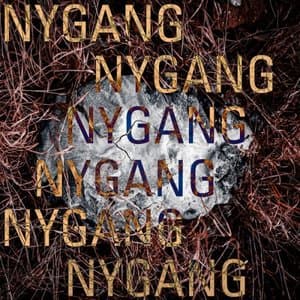 Nygang