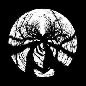 Dark Forest Theory