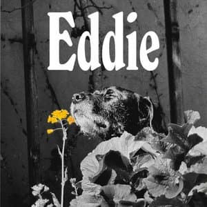 Eddie