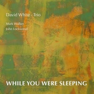 While You Were Sleeping