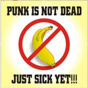 O Punk Não Morreu, Está Apenas Doente por Enquanto!