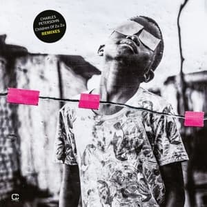 Children Of Zu Zu Remixes