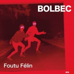 Foutu Felin
