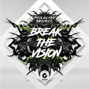 Break the Vision
