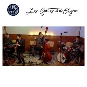 Los Gatos de Agro (Concierto)