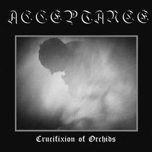 Crucifixion of Orchids