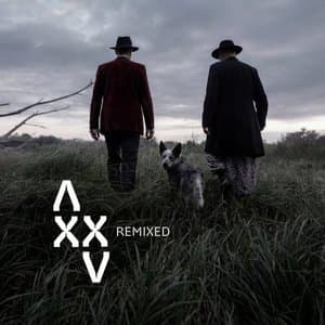 Xxv Remixed